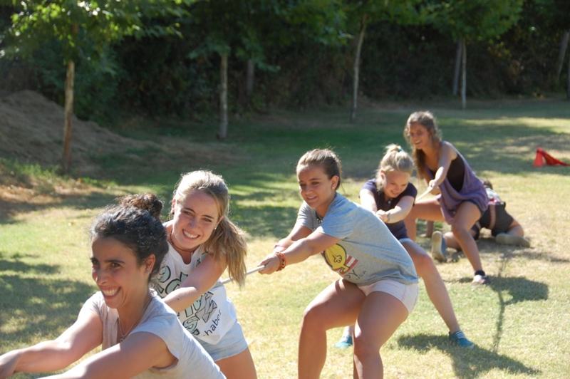 Group life during the counsellor training course