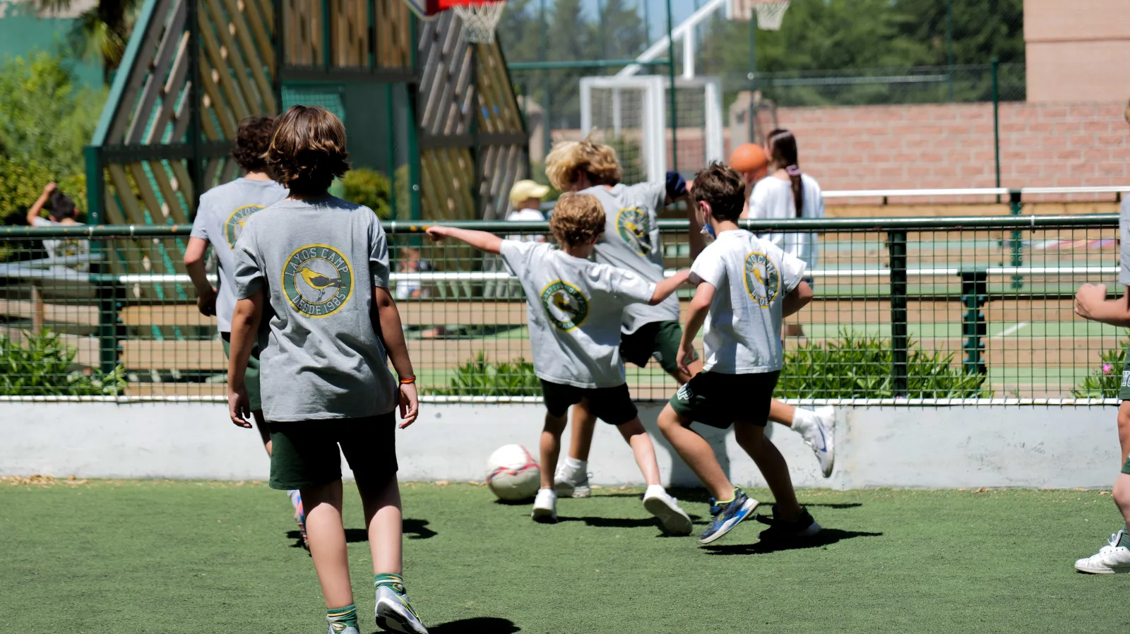 Toledo 6 to 12 yo