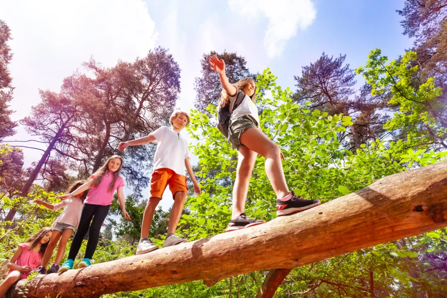Children walking along a fallen tree trunk in a forest